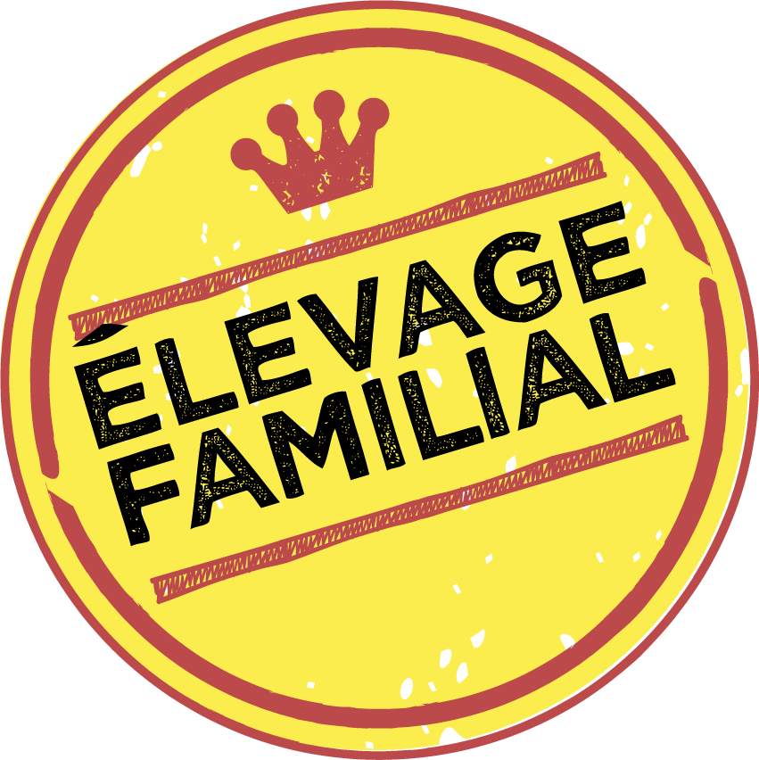 Gallux elevage familial